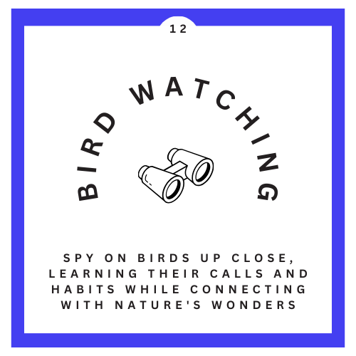 12 Bird Watching
