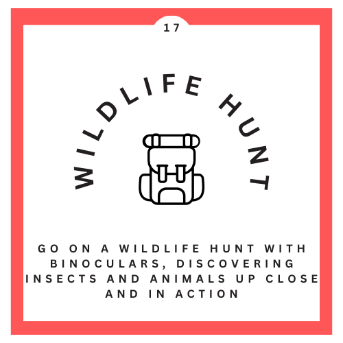 17 Wildlife Hunt