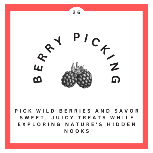 26 Berry Picking