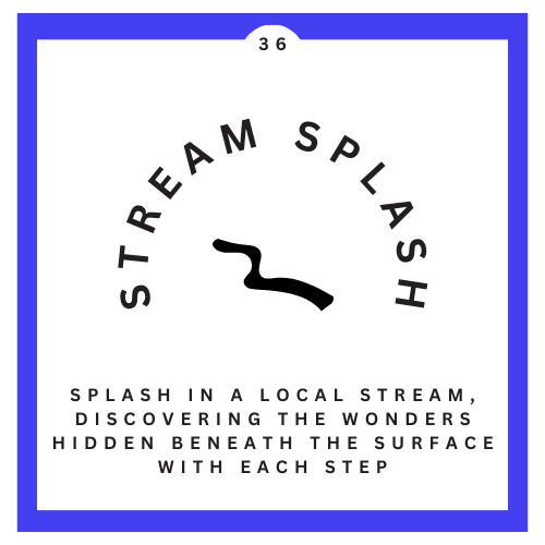 36 Stream Splash