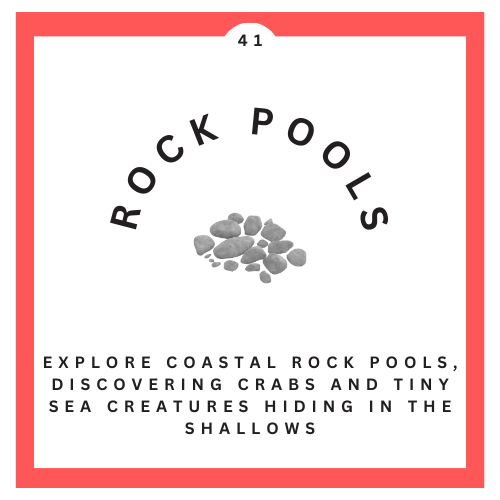 41 Rock Pools