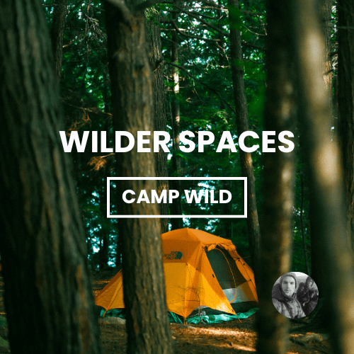 CampWild (Wild Spaces)